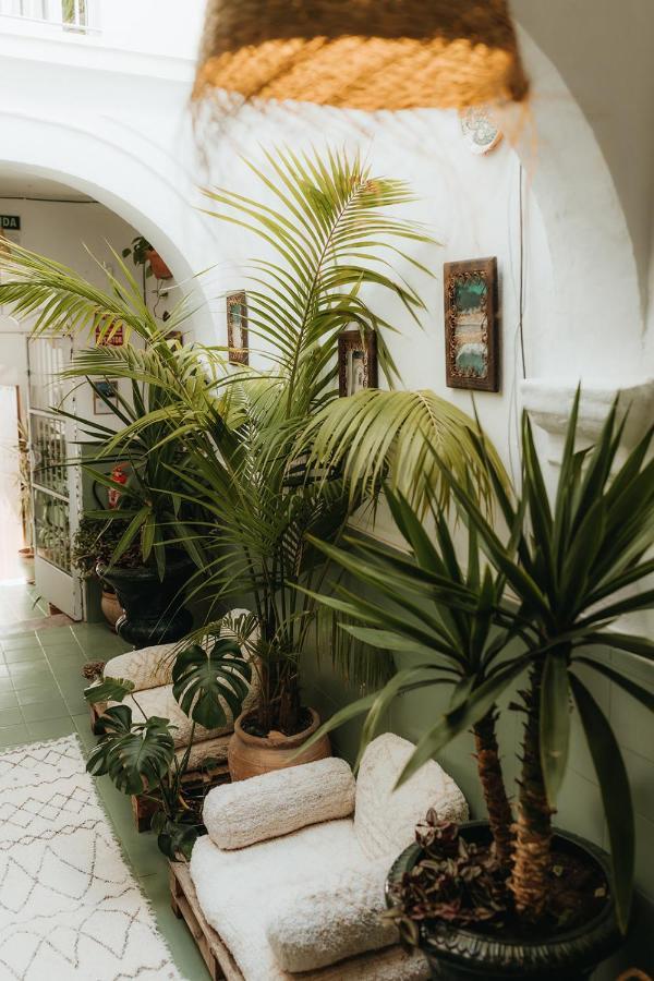 Hostal Africa Ταρίφα Εξωτερικό φωτογραφία