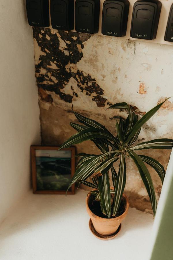 Hostal Africa Ταρίφα Εξωτερικό φωτογραφία