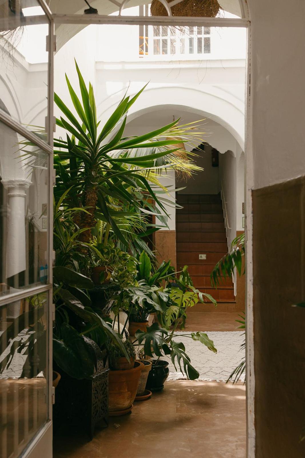 Hostal Africa Ταρίφα Εξωτερικό φωτογραφία