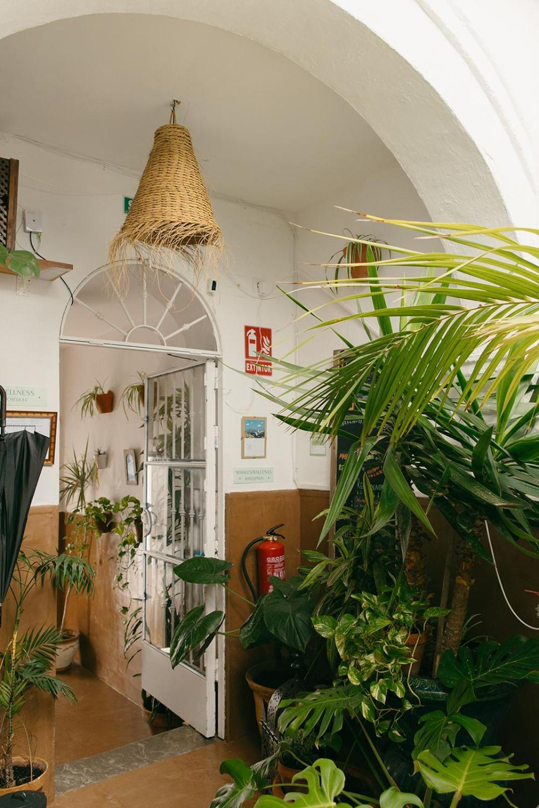 Hostal Africa Ταρίφα Εξωτερικό φωτογραφία